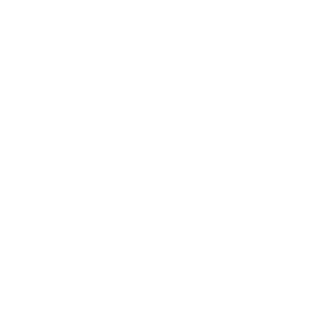 Bzy Store